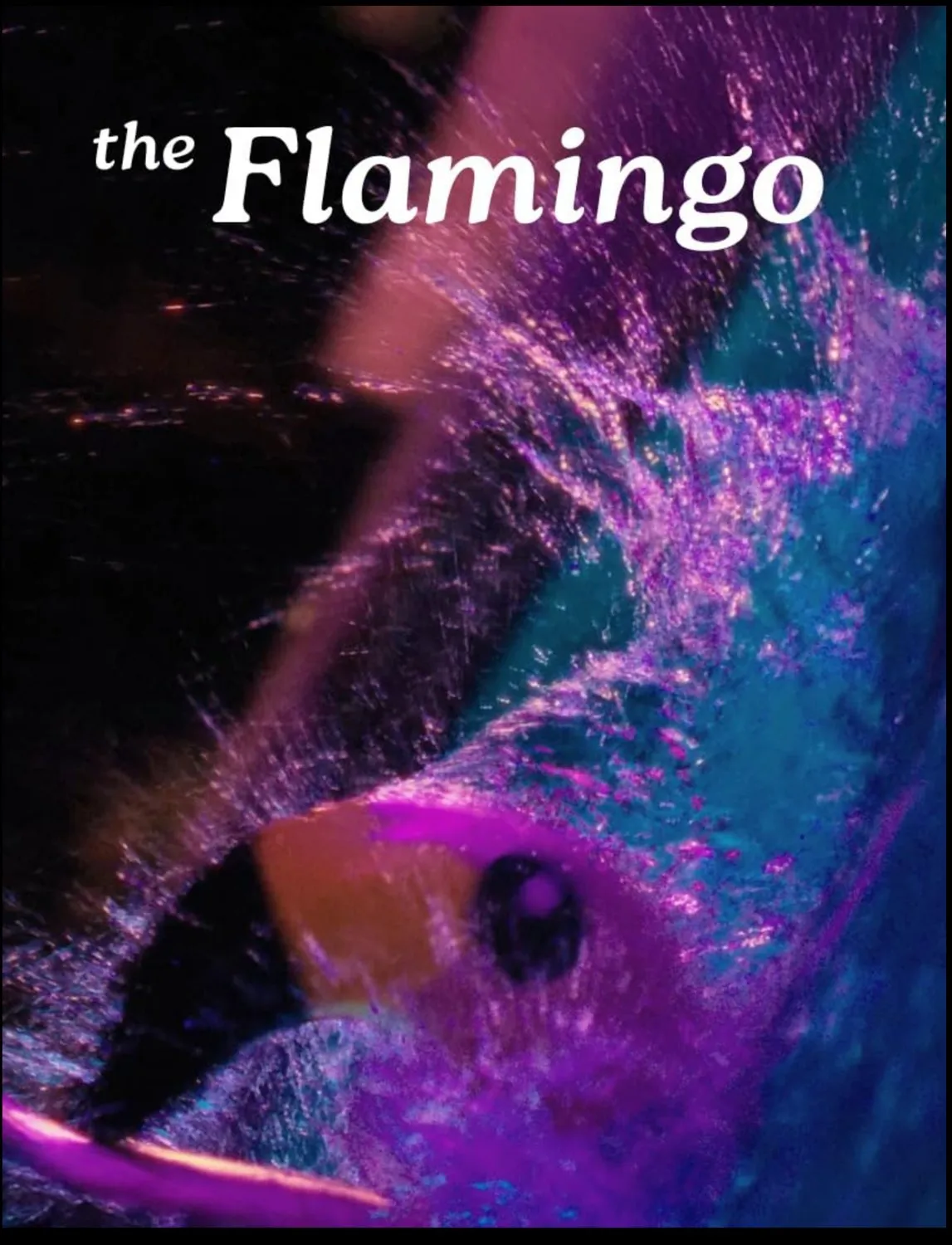 Poster for The Flamingo